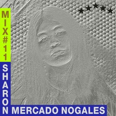 Radical Sounds Latin America Mix 11: Sharon Mercado Nogales