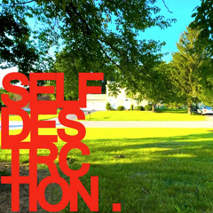 SELF-DESTRUCTION [ prod. ilyakame ]