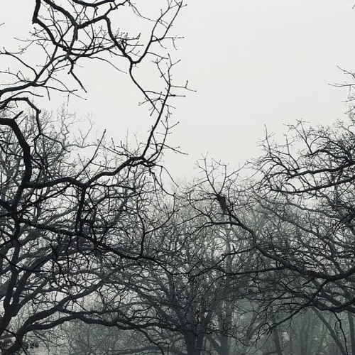 untitled 2