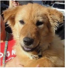 ₛₘₐₗₗ wₒᵣₗd