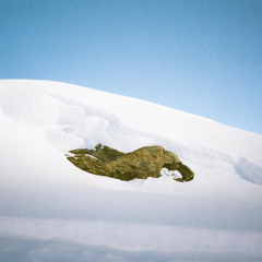 Whoel x Ohnody - Galambok Olajágon [Théque Records]