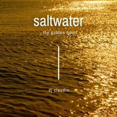 Saltwater - the golden hour