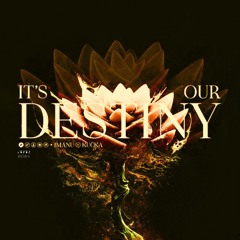 IMANU & KUČKA - It's Our Destiny (A-PAR Remix)
