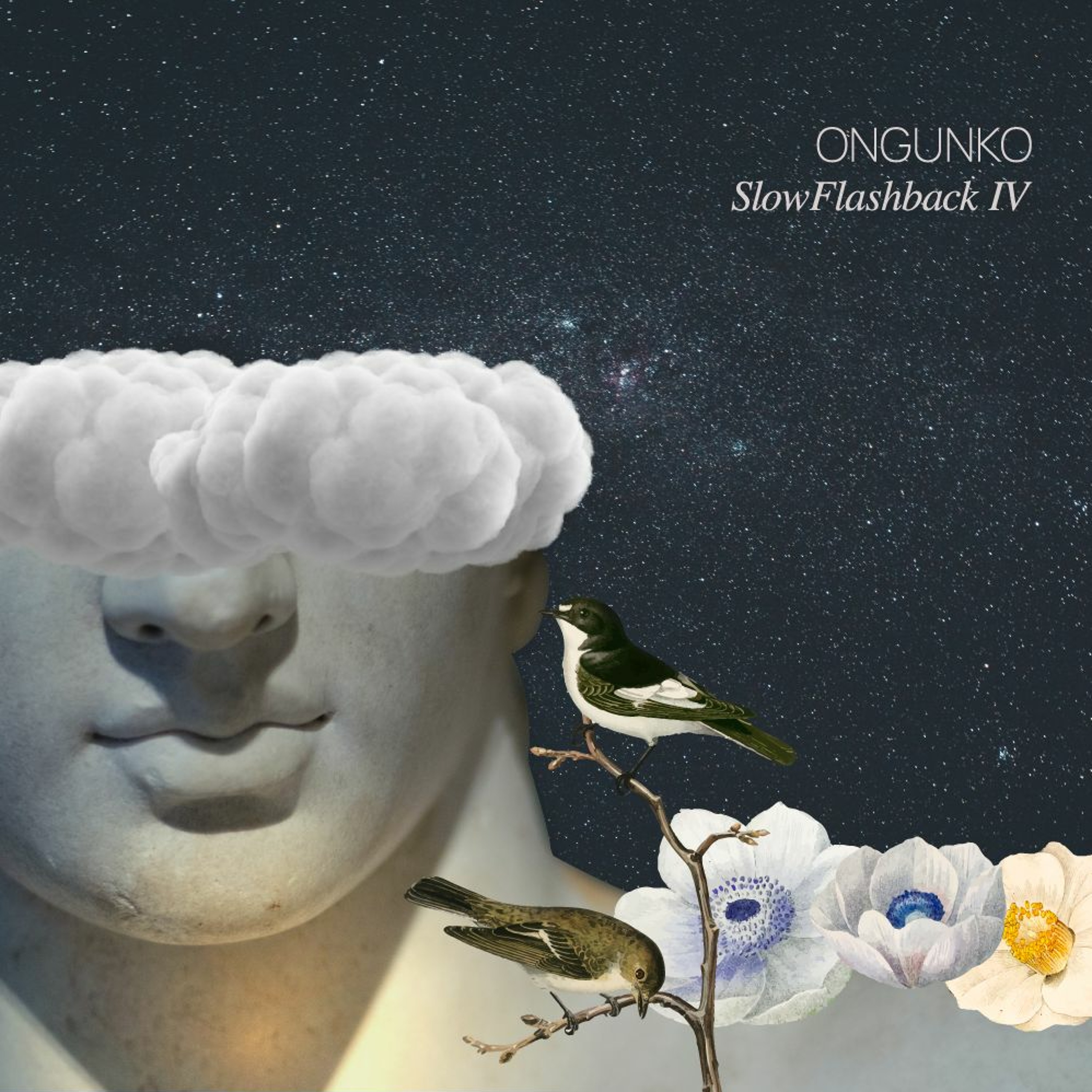 Disko Ongunko
