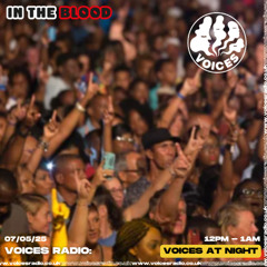 In The Blood - Voices Radio Soulful Jungle DnB Mix (May 25)