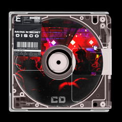 Raving In Secret - Disco | OUT NOW
