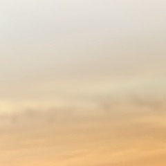 20250813