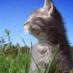 Fly High🪽Geek Out😵‍💫 prod douskii