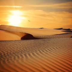 WHERE THE SUN LIVES