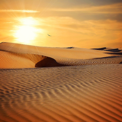 WHERE THE SUN LIVES