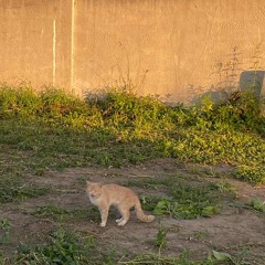 Прикоснись