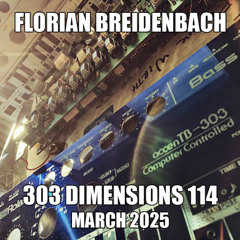 Florian Breidenbach - 303 Dimensions 114 (March 7th, 2025)