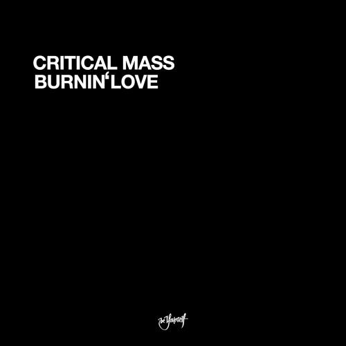 Burnin' Love (DJ Weirdo & DJ Sim 173.683 Remix)