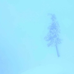 Winter Break [prod. okbarratt]