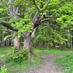 Our Hiding Place