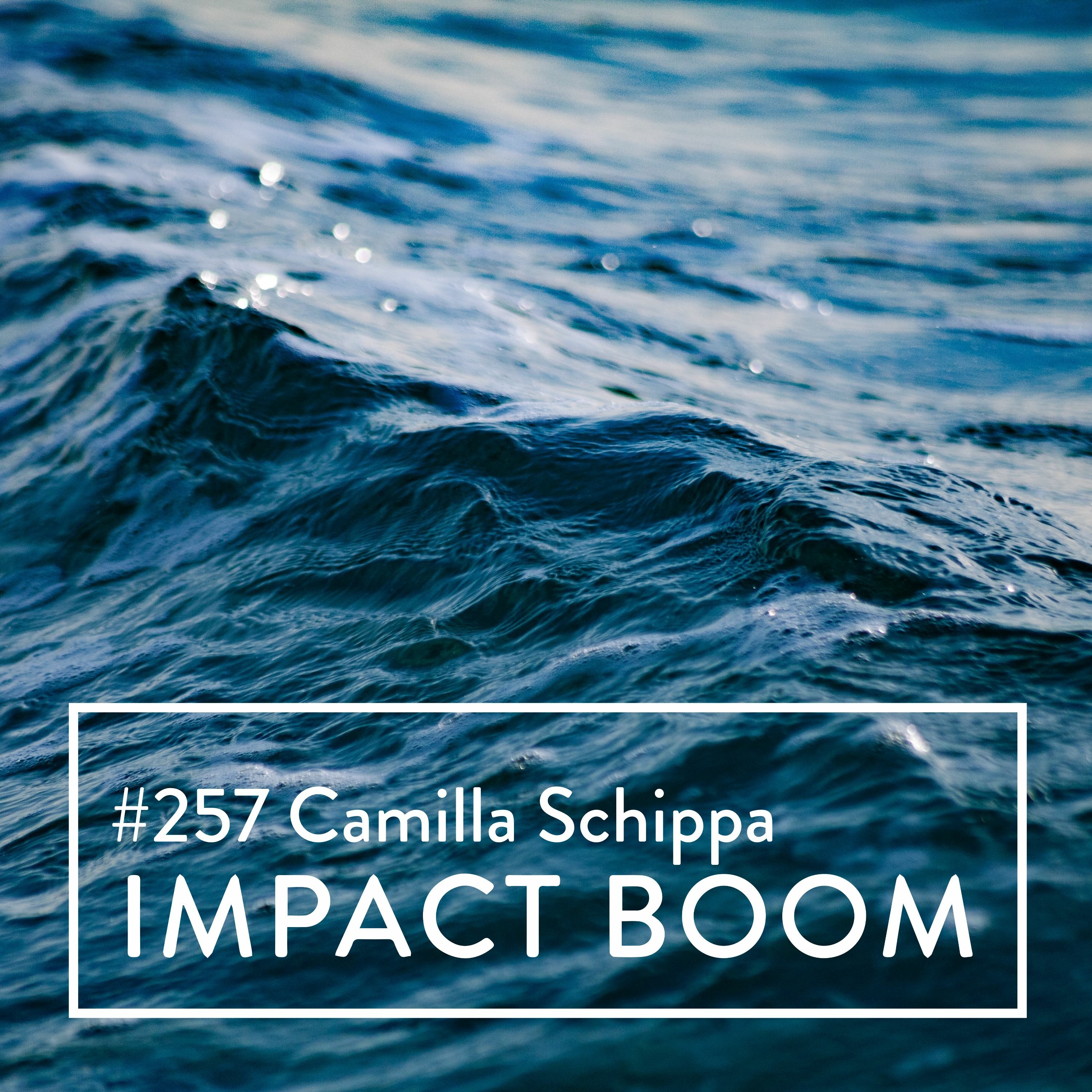 Episode 257 (2021) Camilla Schippa On The Value Of Integrating Refugee Women Into Australia episode artwork