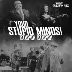 Your Stupid Minds Stupid Stupid