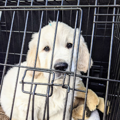 subkoncious (remade)