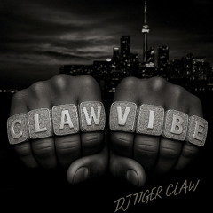 Claw Vibe 01