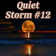 Quiet Storm #12