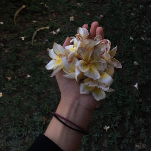 Dĩ vãng nhạt nhoà. cover by 🐧.