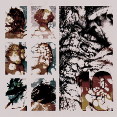 KasinoKache - OdellBeckhm