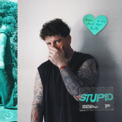 stupid