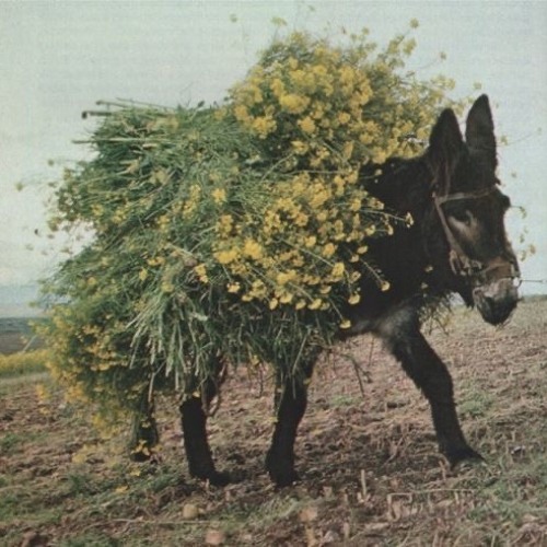 The Hand That Rocks The Cradle-The Smiths