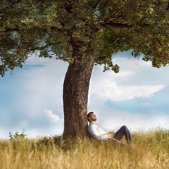 PÜR - The Recognition