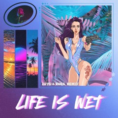 Camo - Life Is Wet (Jayd & Roha Remix)