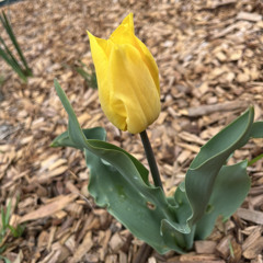 I Don't Miss You.mp3