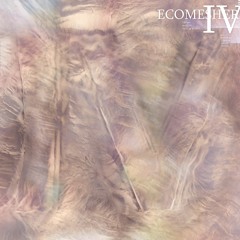 Ecomesher