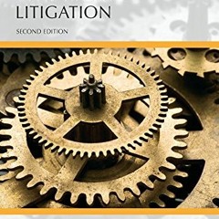 VIEW [KINDLE PDF EBOOK EPUB] Understanding Civil Rights Litigation (Carlina Academic Press Understan