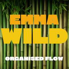 NEW TRACK: Organised Flow