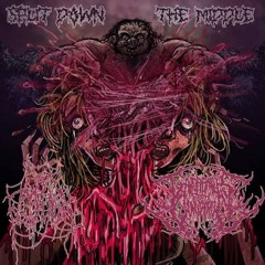 Open Flesh Wound : Sacral Spewage