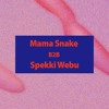 Mama Snake B2B Spekki Webu at Organik Festival 2023 DJ mix artwork - Electronic music tracklist cover image