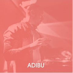 DJ AL1 ADIBU'S TRIBUTE