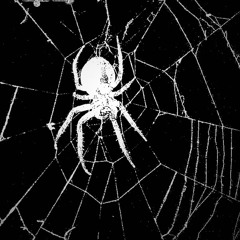 1SEC x STRANGE LANGUAGE - DARKNESS