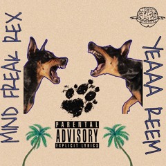 MIND FREAK REX- AFTER PARTY Ft YEAAA REEM