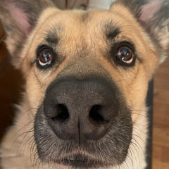 JAZZ CABBAGE (wooli & cyclops) x TROPHIES  (big florida) x FIBONACCI (part 1) subtronics (KOOP EDIT)