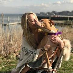 Meet the angel of all pit bulls