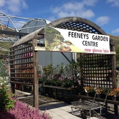 Selecting plants for patio pots - Gardening Time with Feeney's Garden Centre
