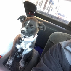 cheRomani+ - hugo (sped up)