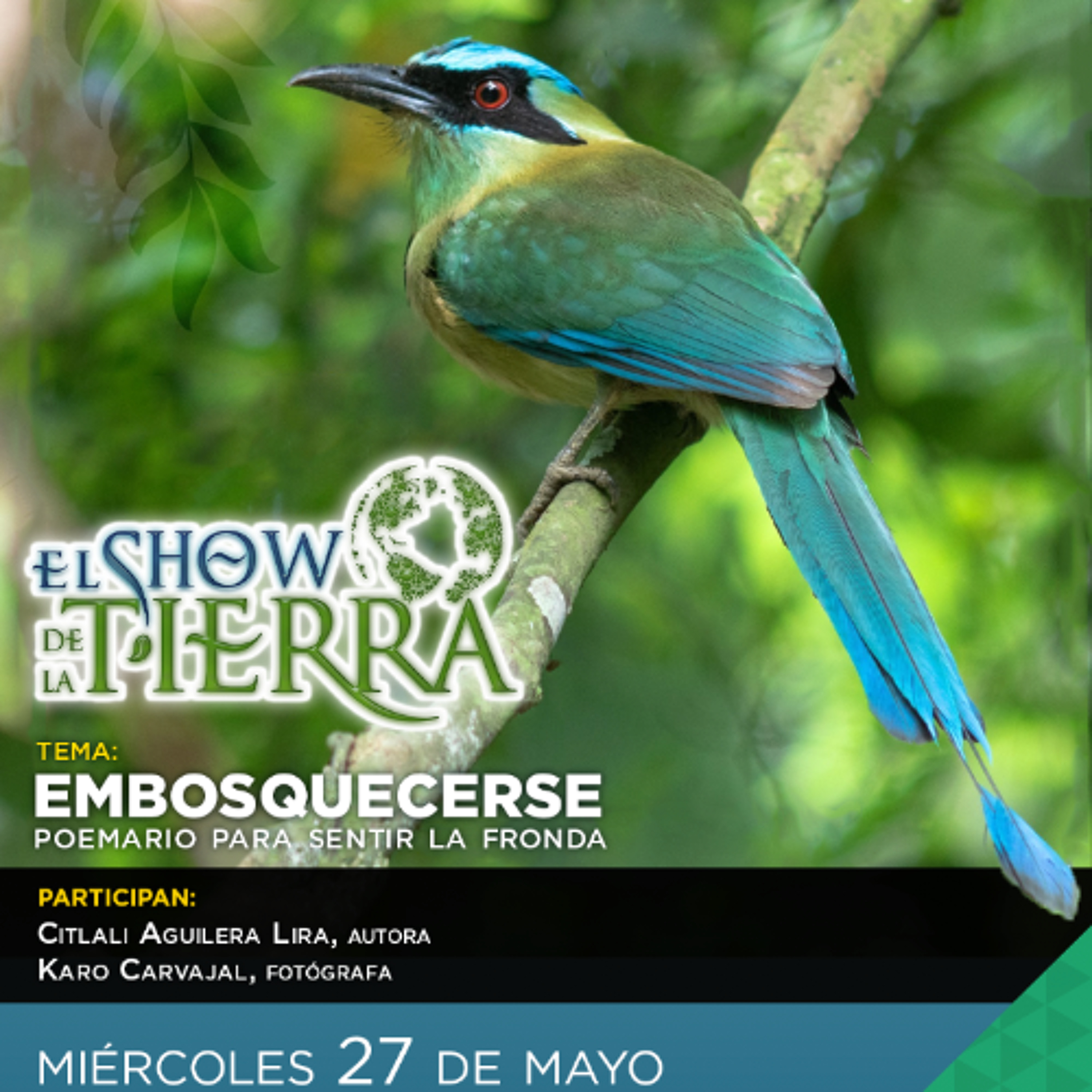 El Show de La Tierra - Embosquecerse episode artwork