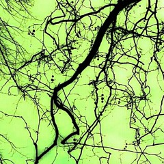 Goblins In The Trees