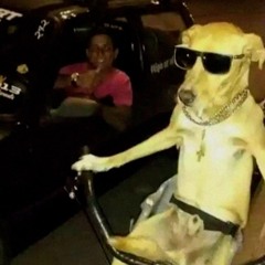 Money Stance prod maarleau