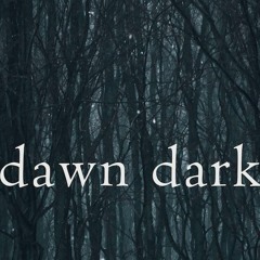 Dawn Dark (naviarhaiku510)