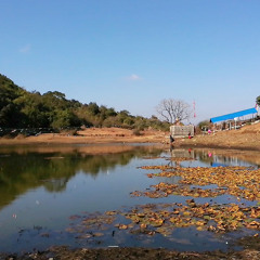 Timi Sangai - Rajesh Payal Rai & Smriti Pokhrel  New Nepali Pop Song 2016