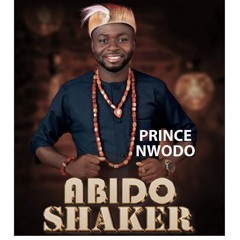 Abido Shaker