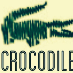 Crocodile Ft JahliceDj - DIss Me Remix!